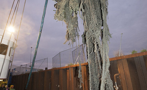 Opgeviste verloren netten uit de Noordzee