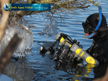 Goofy Aqua Video filmt de Zevenhuizerplas in de winter
