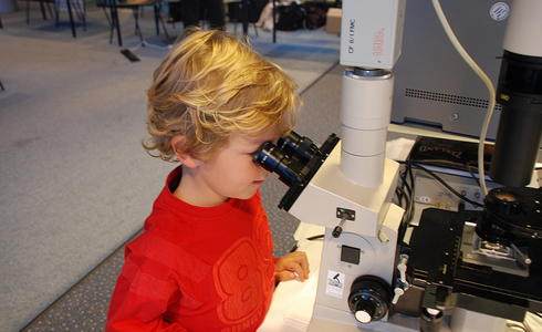 Weekend van de Wetenschap - onderzoek met de microscoop