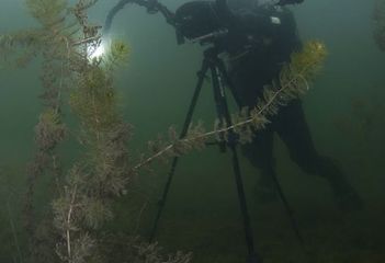 Robert Hughan (Goofy Aqua Video) filmt in de Zevenhuizerplas - Foto: Marion Haarsma