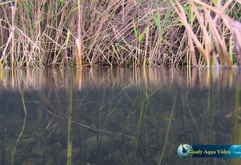 Langs de waterkant van de Zevenhuizerplas