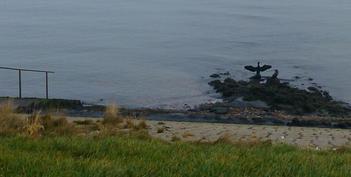 Aalscholvers bij de duiktrap van Kattendijke, Wemeldinge - Foto: Ferry Stam