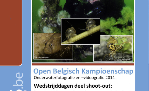 Open Belgisch Kampioenschap onderwaterfotografie 2014