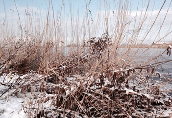 Winter in de Zevenhuizerplas - Foto: Goofy Aqua Video