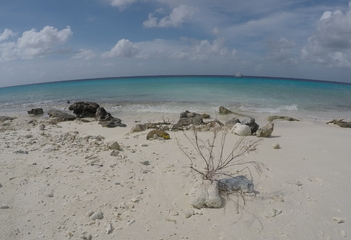 Duikplaats Invisibles, Bonaire - Foto: Wil Stutterheim