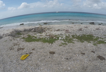 Duikplaats Invisibles, Bonaire - Foto: Wil Stutterheim