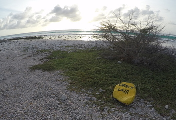 Duikplaats Larry's Lair, Bonaire - Foto: Wil Stutterheim