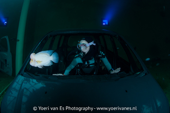 Duiker bekijkt vis vanuit autowrak in TODI - Foto: Yoeri van Es Fotografie