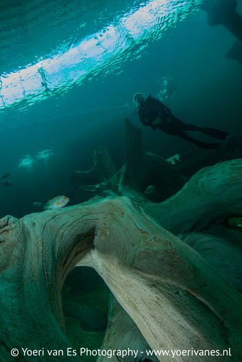 Onderwaterdecor in TODI - foto Yoeri van Es