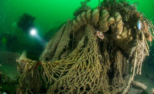 Spooknetten op een wrak in de Noordzee - Foto: Udo van Dongen